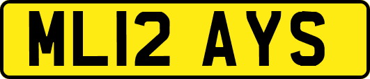 ML12AYS