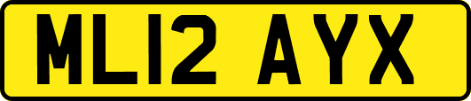 ML12AYX