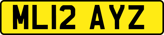 ML12AYZ