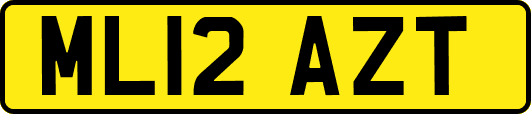 ML12AZT