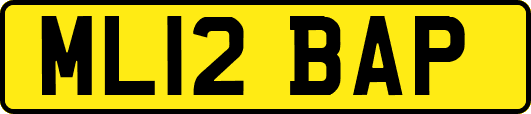 ML12BAP