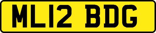 ML12BDG