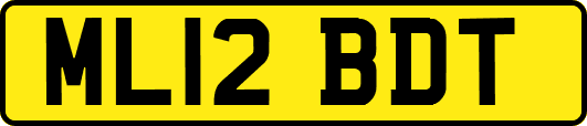 ML12BDT