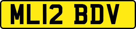 ML12BDV