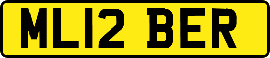 ML12BER