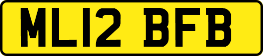 ML12BFB