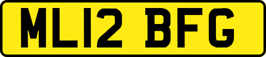 ML12BFG