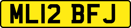 ML12BFJ