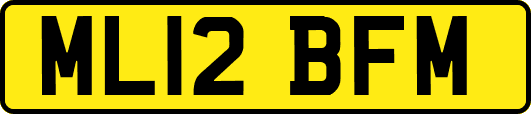 ML12BFM