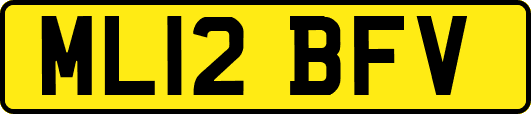 ML12BFV