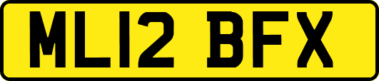 ML12BFX