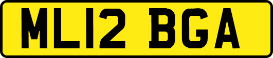 ML12BGA