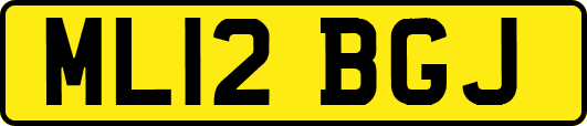 ML12BGJ
