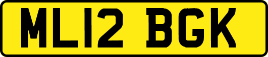 ML12BGK