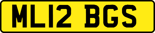 ML12BGS