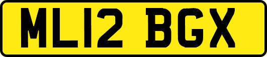 ML12BGX
