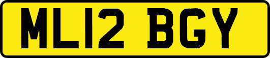 ML12BGY