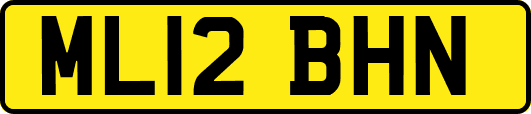 ML12BHN