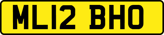 ML12BHO