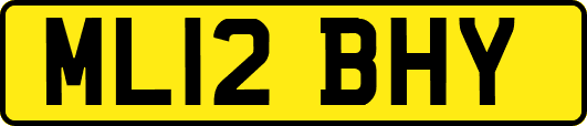ML12BHY