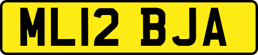 ML12BJA