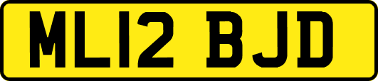 ML12BJD