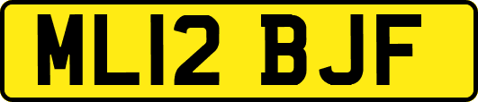 ML12BJF