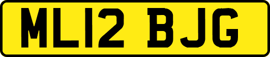 ML12BJG