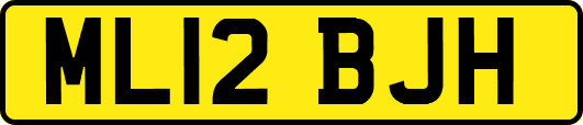 ML12BJH