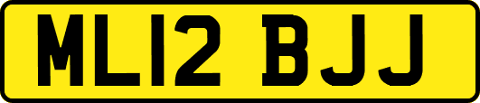 ML12BJJ