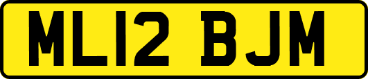 ML12BJM