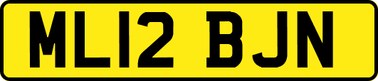 ML12BJN