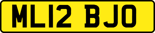ML12BJO