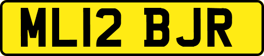 ML12BJR