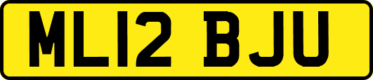ML12BJU