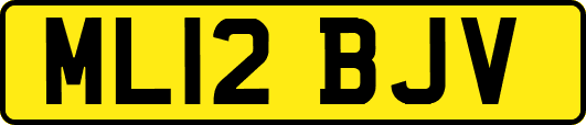 ML12BJV