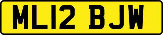 ML12BJW