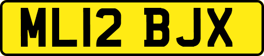 ML12BJX
