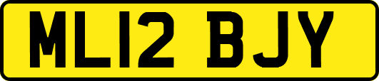 ML12BJY