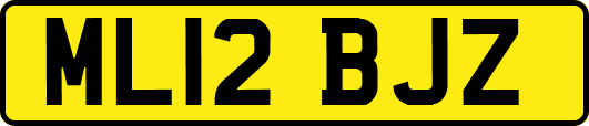 ML12BJZ