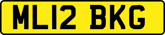 ML12BKG