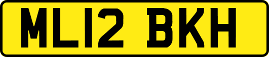 ML12BKH