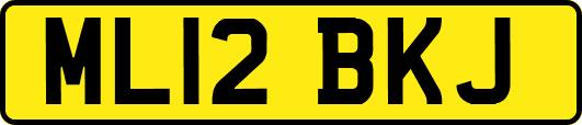 ML12BKJ