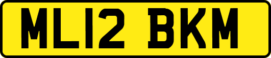 ML12BKM