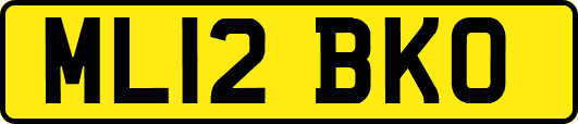 ML12BKO