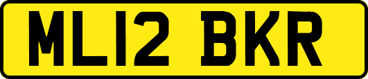 ML12BKR
