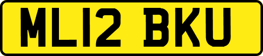 ML12BKU