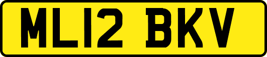 ML12BKV