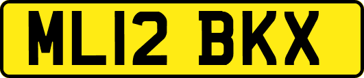 ML12BKX