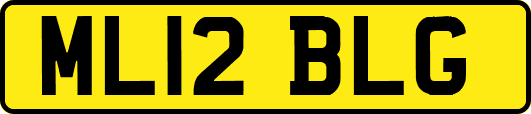 ML12BLG